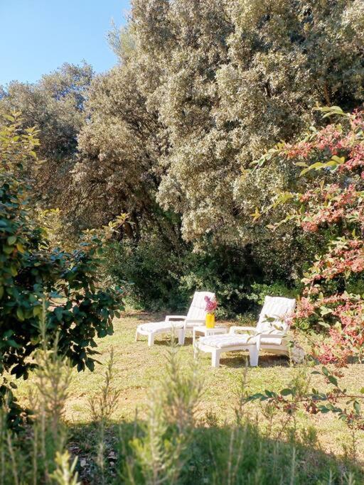 Studio Avec Jardin Entre Aix-En-Provence, Luberon Et Verdon Peyrolles-en-Provence Exterior foto