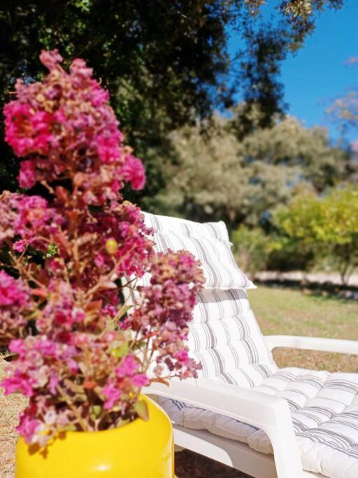 Studio Avec Jardin Entre Aix-En-Provence, Luberon Et Verdon Peyrolles-en-Provence Exterior foto